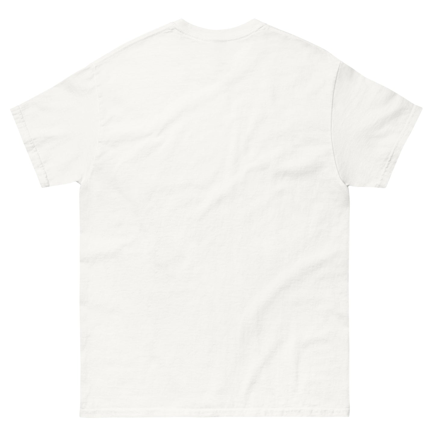 Vinyl Mountain Unisex classic tee